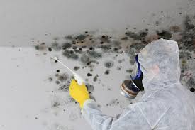 Mold Removal for HVAC Installations in Mentor, OH